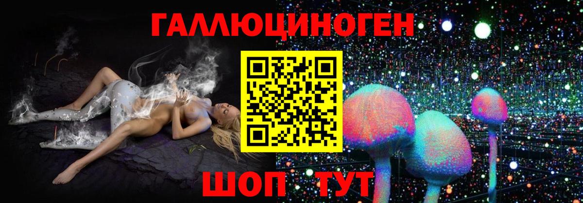 Пугачёв  Псилоцибиновые грибы прущие грибы  Вход с VPN  Псилоцибиновые грибы Cubensis 